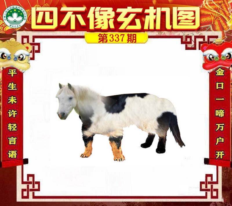 管家婆的资料一肖中特，揭秘背后的神秘与智慧管家婆1肖中特