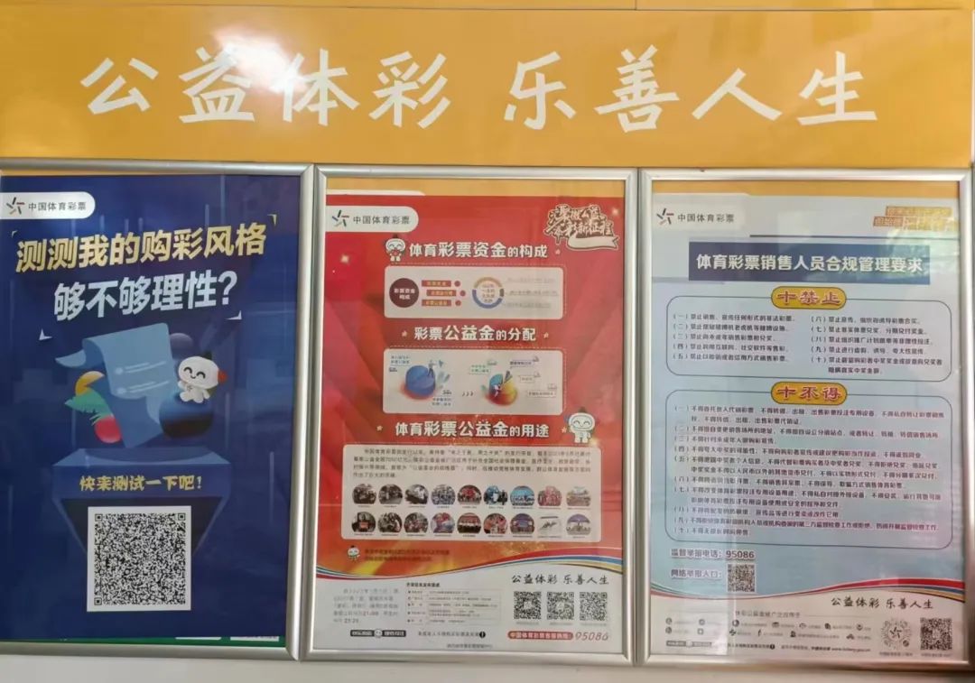 今天香港开什么特马的背后，理性与娱乐交织下的彩票文化探索香港今天开的什么马