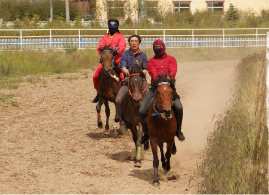 2019香港马会资料大全免费，探索赛马的魅力与精彩瞬间香港2021年马会资料大全
