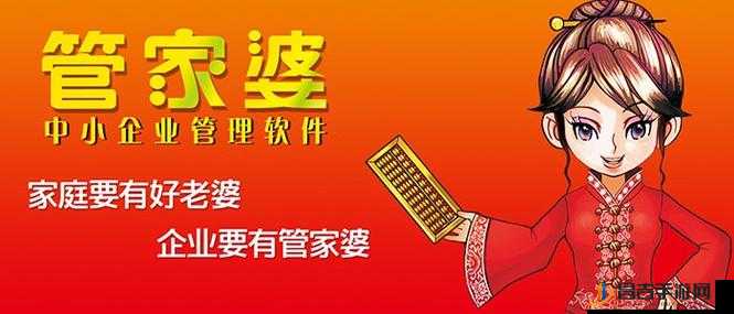 管家婆论坛，互联网时代的财务管理新阵地管家婆论坛一句话
