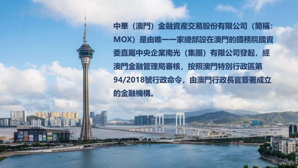 探索心水高手论坛，免费资料背后的智慧与机遇心水高手论坛免费资料熬焖菜澳门