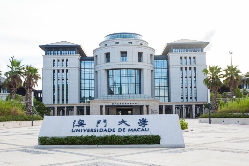 澳门彩，203年开奖历史记录的深度解析与展望2023澳门开奖历史记录查询结果表一百一十8期开什马
