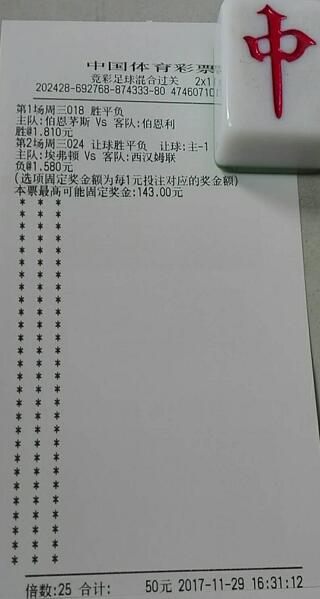 澳彩开奖结果查询，理性看待彩票，享受生活乐趣49629澳彩开奖结果查询使用方法