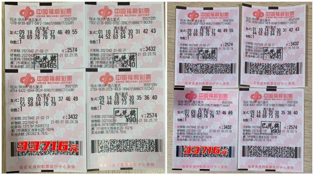 6合开奖结果，数字背后的幸运与期待6合开奖结果今晚开奖号码查询