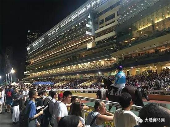 2019年香港马会资料大全，探索赛马的激情与文化