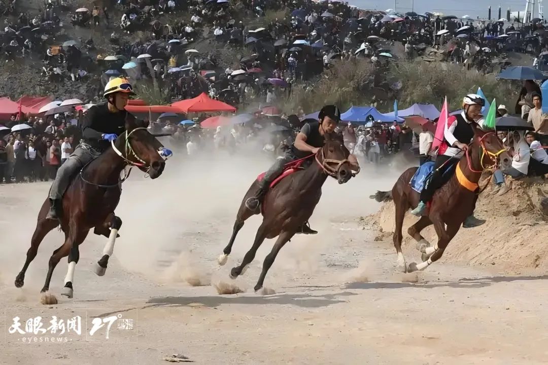 探秘看特马，一场视觉与文化的盛宴九字之上看特马