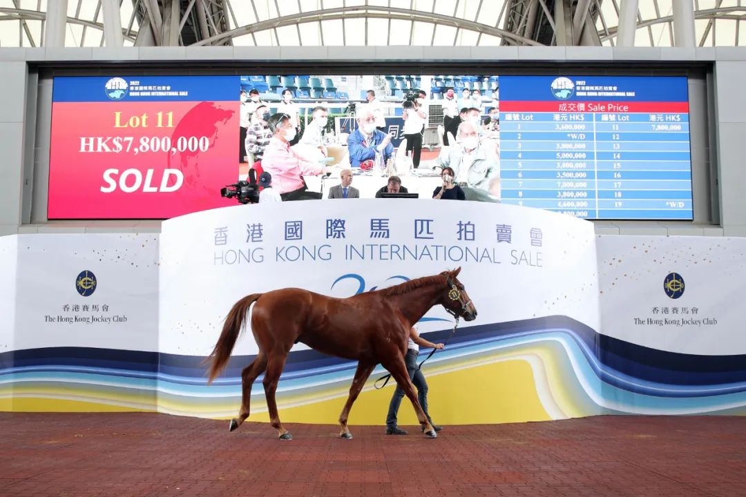 2019香港马会全年资料大全，精彩赛事与辉煌成就的回顾香港2021年马会资料大全