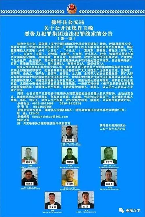 揭秘小鱼儿心水论坛，网络赌博的灰色地带与警示小鱼l儿心论坛