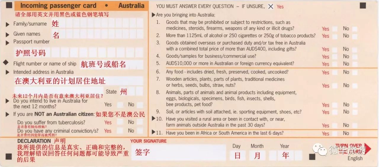 探索新澳好彩，204年免费资料查询的深度指南澳门新彩