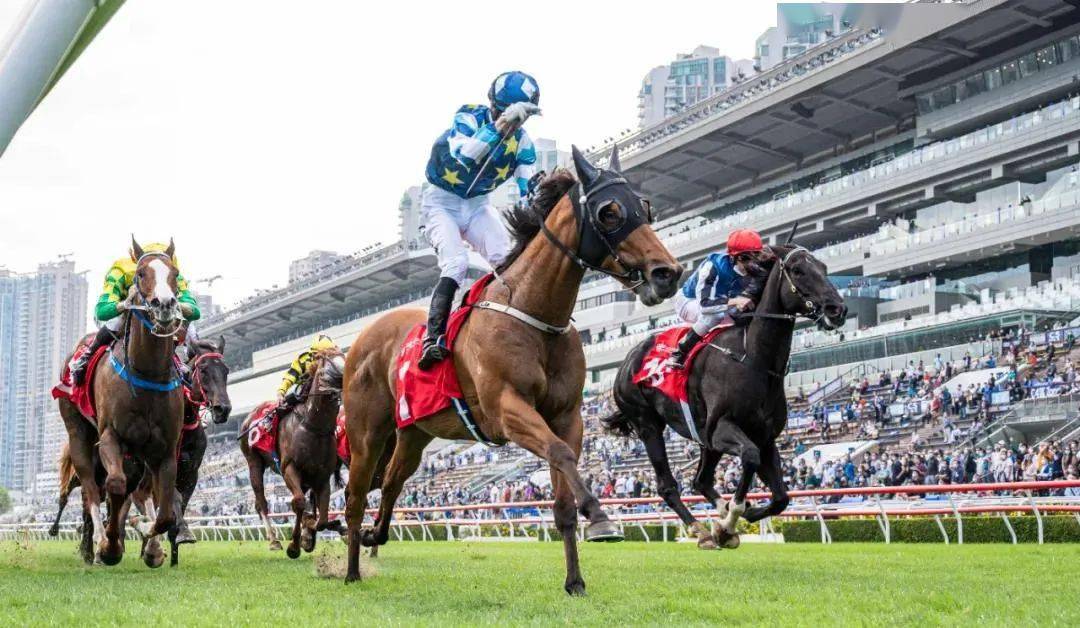 探索香港全年资料马会大全，赛马的魅力与文化香港2021年马会资料大全
