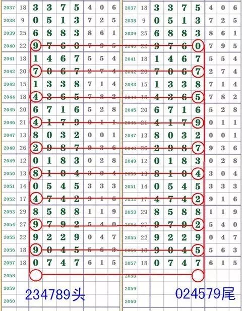 淘码论坛，数字时代的交流新天地淘码论坛必中七肖