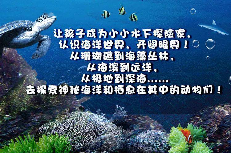 新澳资料