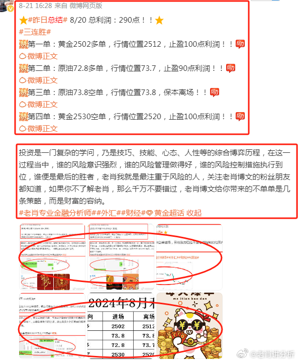 2048年，管家婆的马资料—未来赛场上的智能预测与决策管家婆24马精选