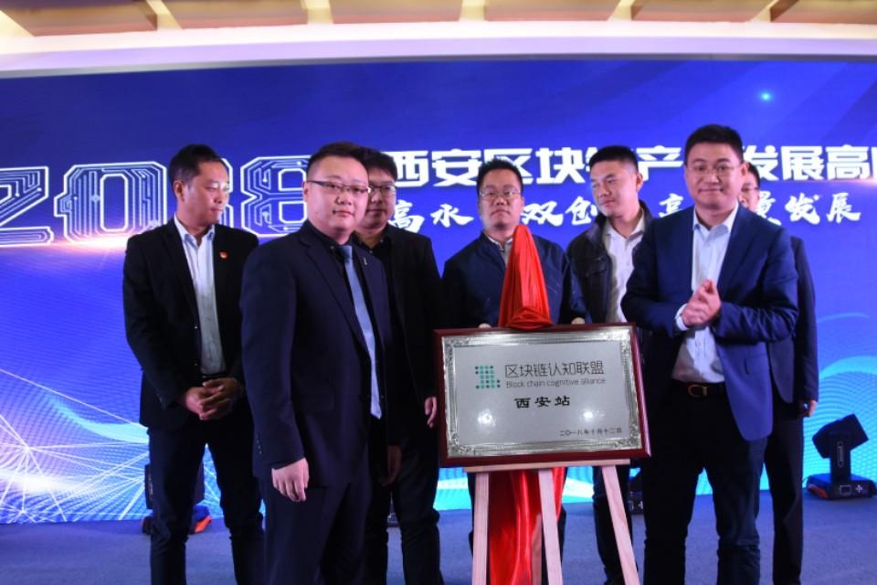 揭秘大赢家高手心水论坛，赌场中的智慧与策略大赢家心水高手论坛3d大地
