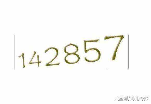 765432，数字背后的神秘与魅力494949最快查开奖结果手机