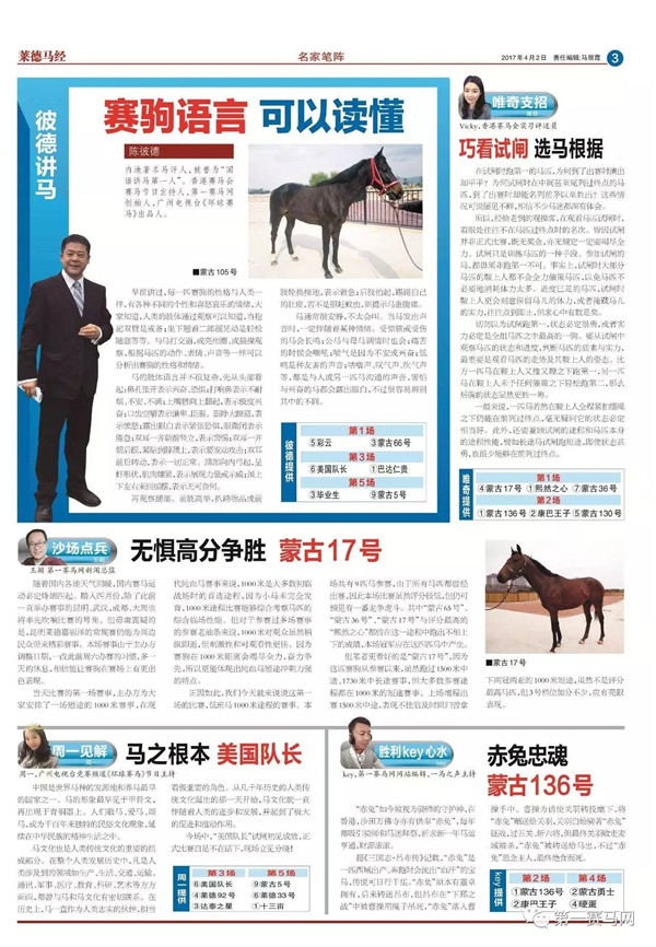 买马资料图2018今晚，深度解析与策略指导买马资料图今天2020