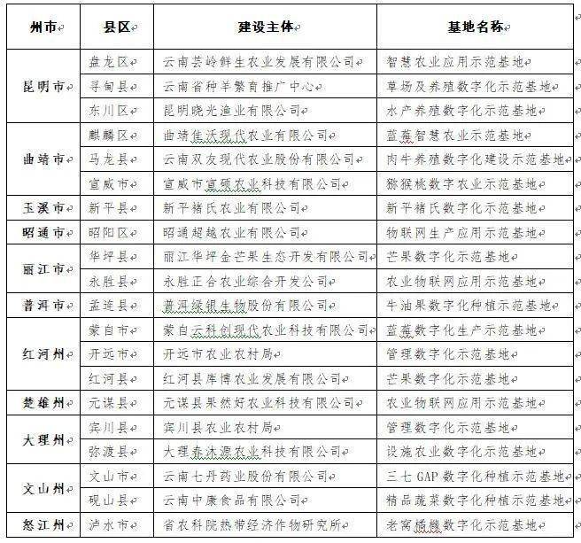 管家婆精选二四六码，数字背后的智慧与机遇管家婆二四六开奖公布