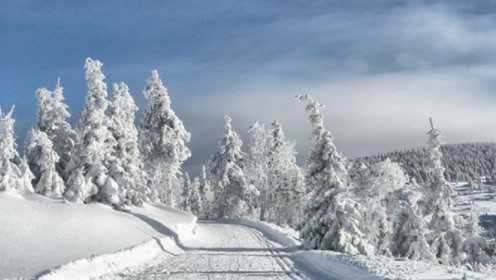 专家预测，今年冬天是冷冬还是暖 winter？今年冬天冷冬还是暖冬呢