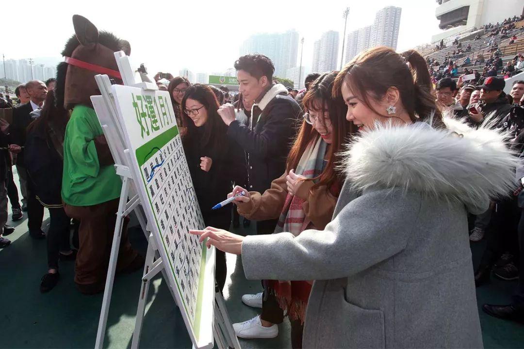 2019年香港赛马免费资料大全，全面解析与实用指南2021年香港免费马资料