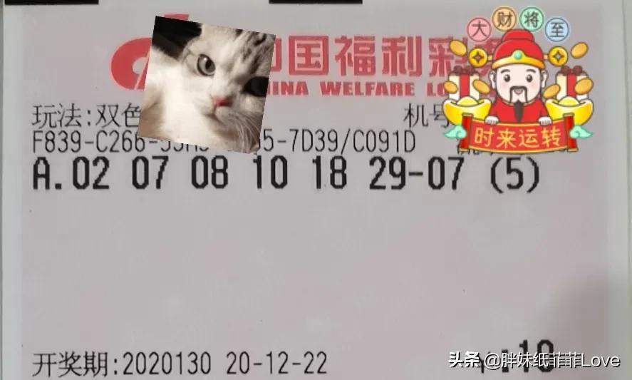 网上购彩新体验，详解如何购买双色球怎么买网上买双色球
