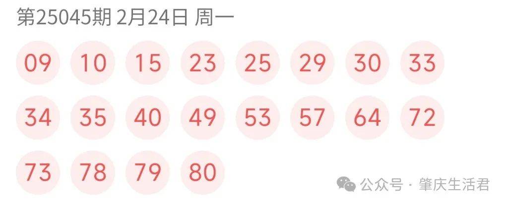 探索中国福利彩票快乐8的奥秘，开奖结果查询与乐趣解析中国福利快乐8开奖结果查询选十