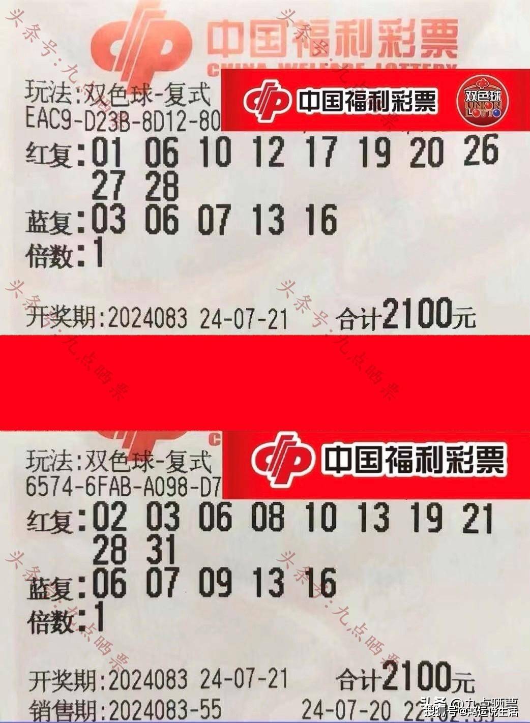 福利彩票20431期，梦想与希望的交汇点福利彩票2024031期中奖号码双色球查询