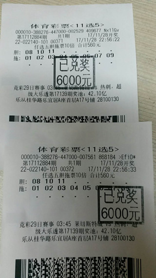 粤10选5，揭秘开奖背后的数字魅力与彩民心声粤11选五开奖结果真彩网