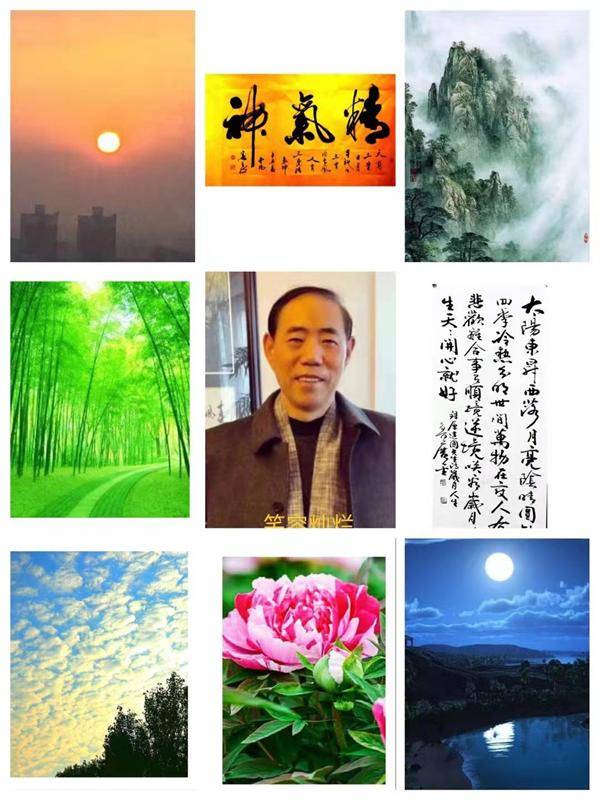 摇钱树下的神秘预言，黄大仙与最准一肖的传说摇钱树黄大仙最准网
