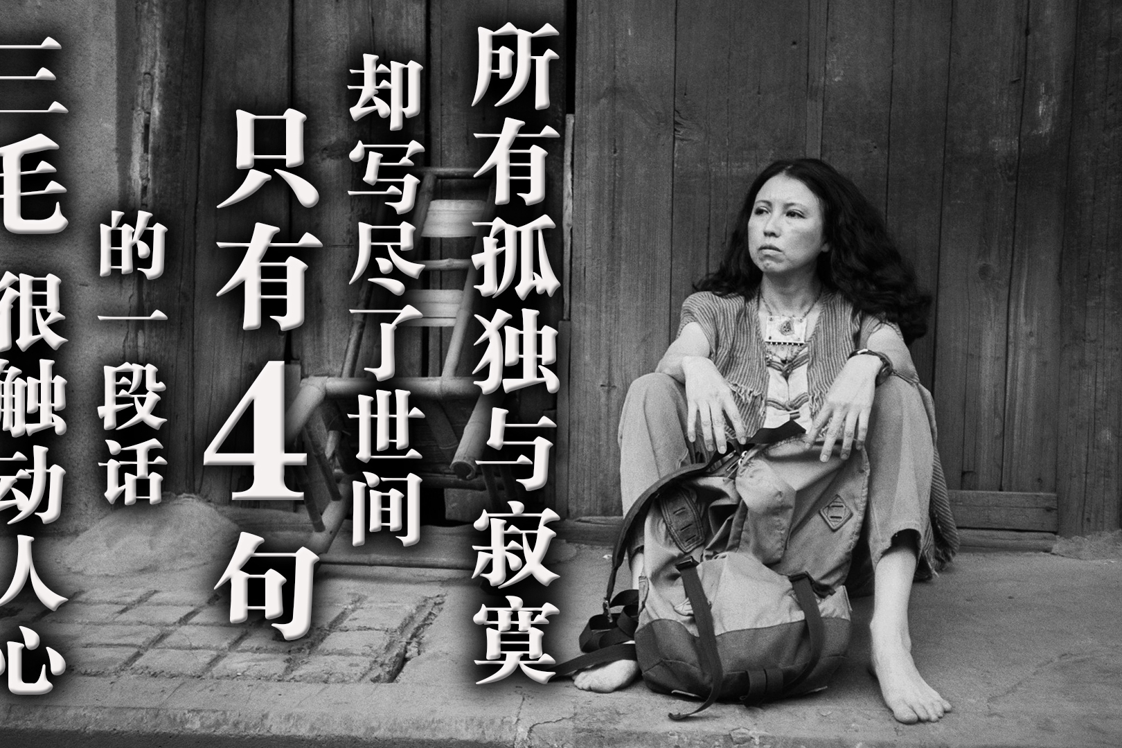 探索三的三毛图库,一个充满创意与情感的视觉盛宴三的三毛图库首选