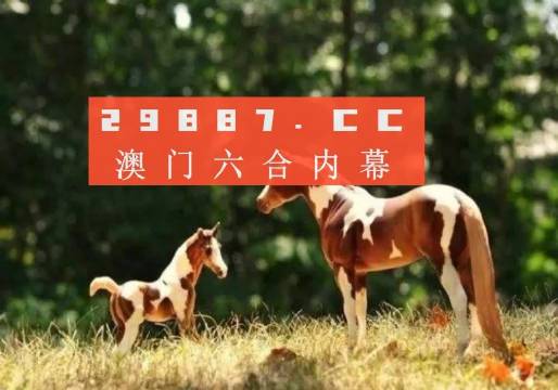 图库探索