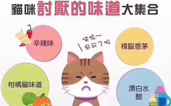 探索大乐透玩法的奥秘，开奖走势图深度解析大乐透玩法开奖走势图新浪爱彩