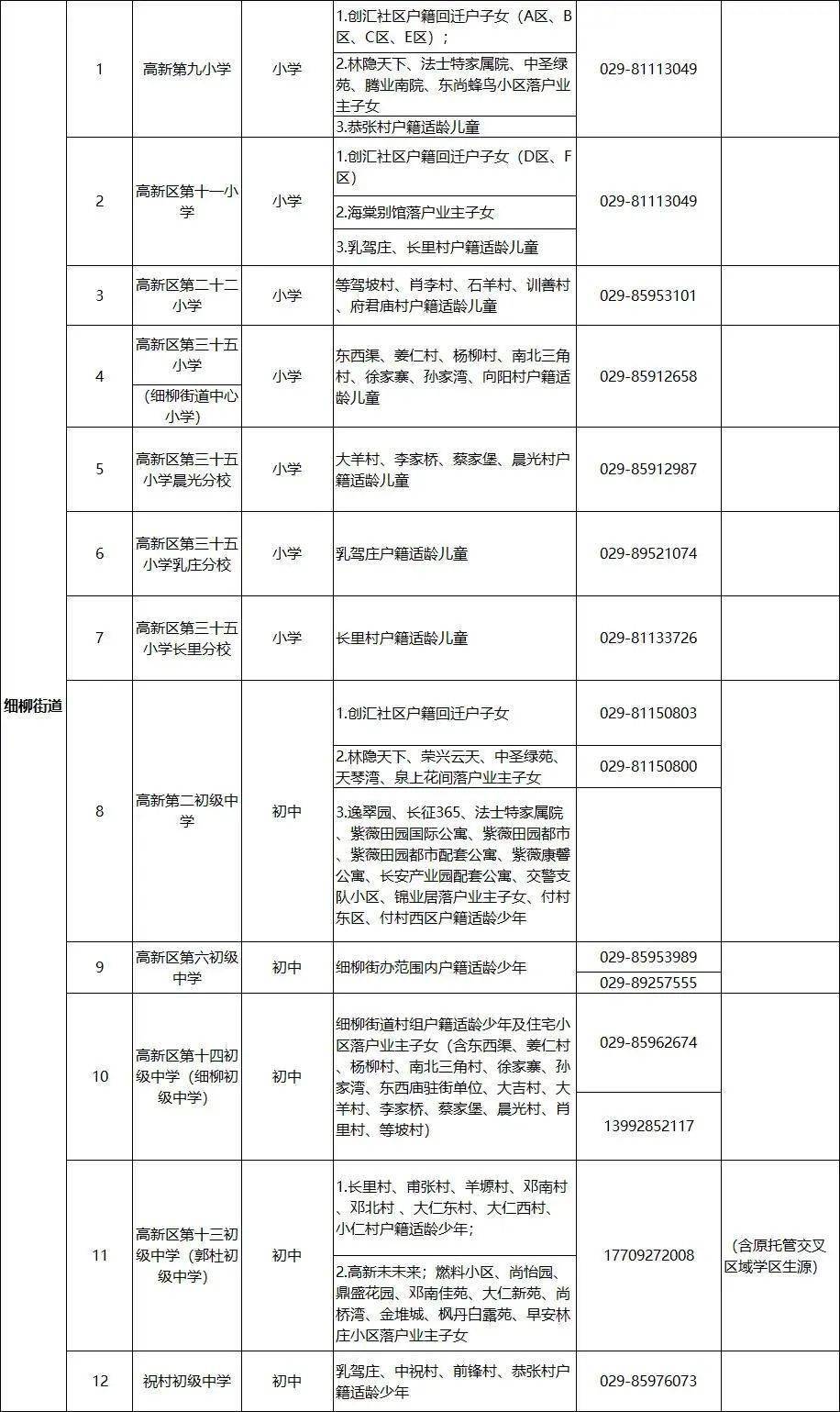梦想与现实的碰撞