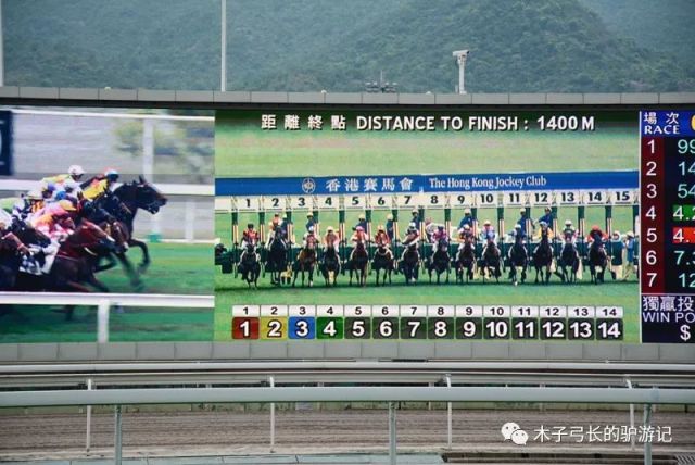 2019香港马会资料大全免费，探索赛马的魅力与文化香港2021年马会资料大全