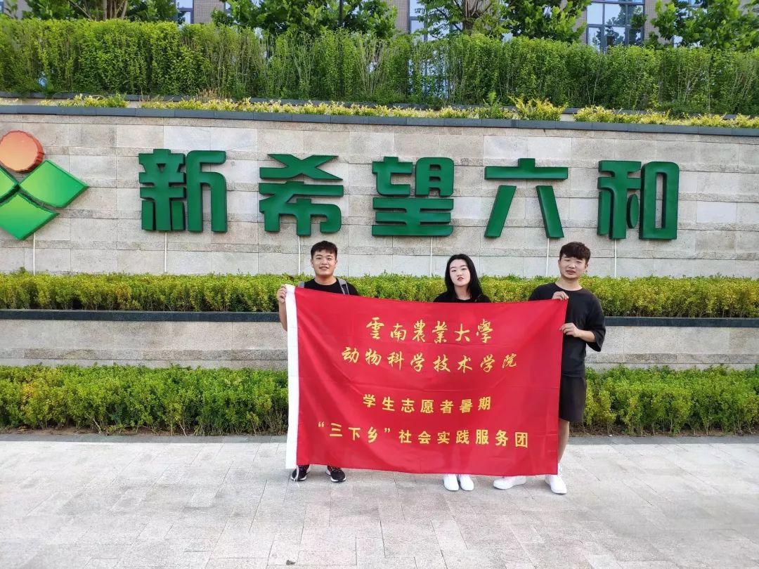 2015年六和合彩，一场数字与梦想的交织6合和彩开奖结果历史