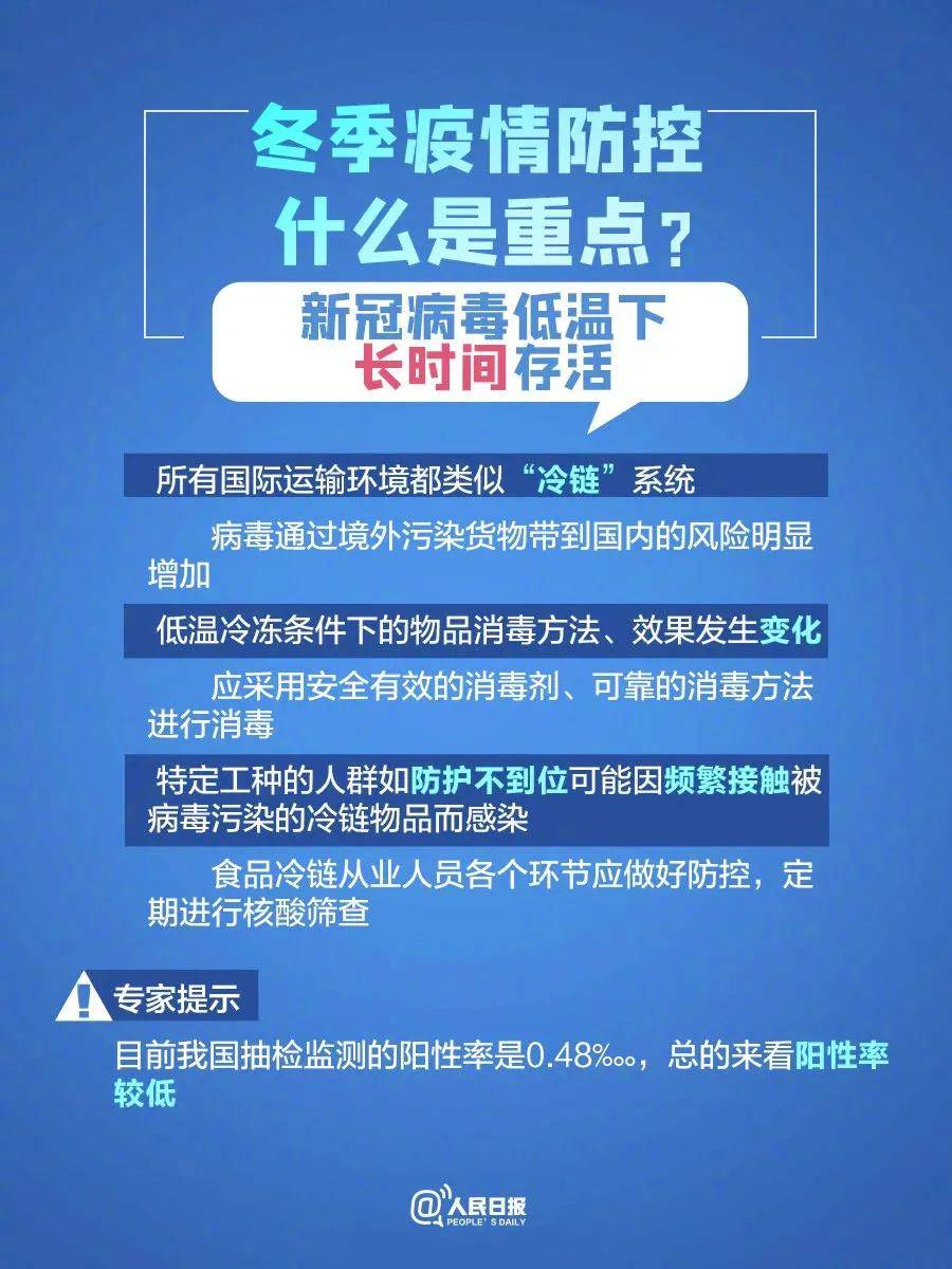 探索新澳门资料大全，203年正版免费下载的全面指南2025澳门正版免费全年资料大全旅游团