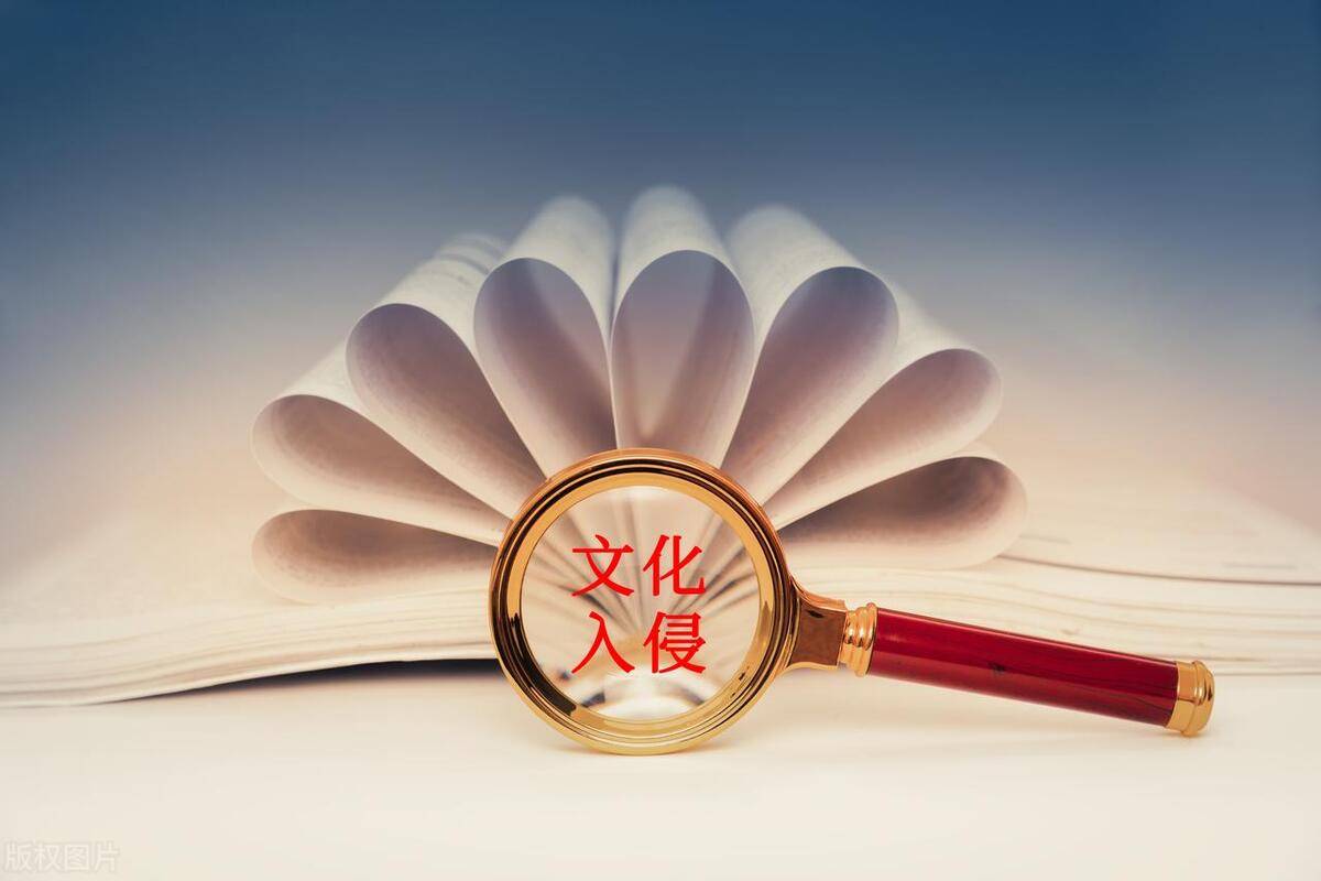 探索网络文化的边界，瑟瑟论坛的兴起与影响瑟瑟一句