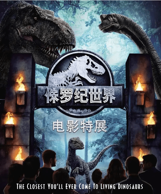 探索数字世界的奇妙之旅，揭秘www.493333\com的神秘面纱