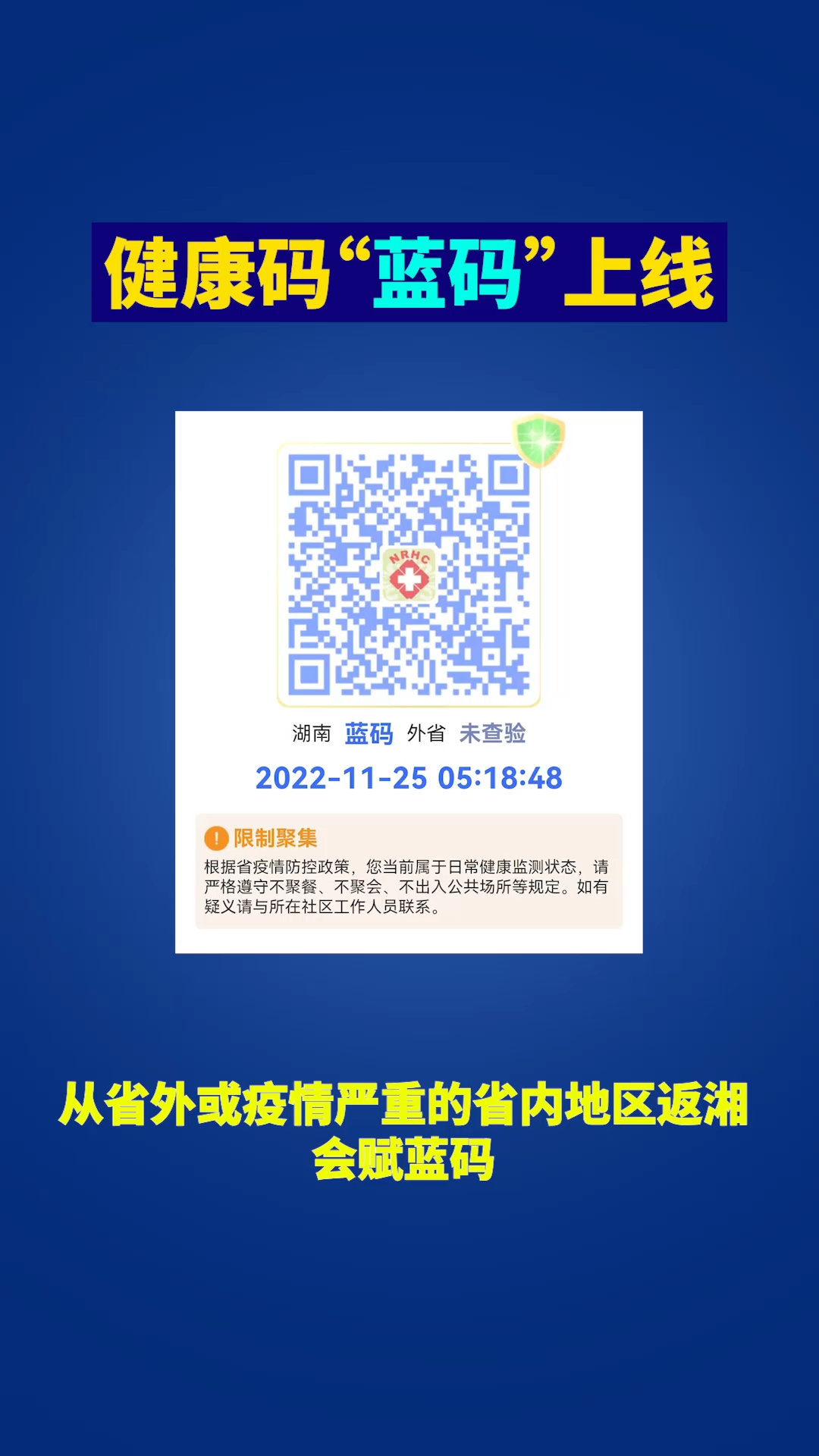 蓝姐平码论坛，数字世界的智慧灯塔蓝姐平码内部