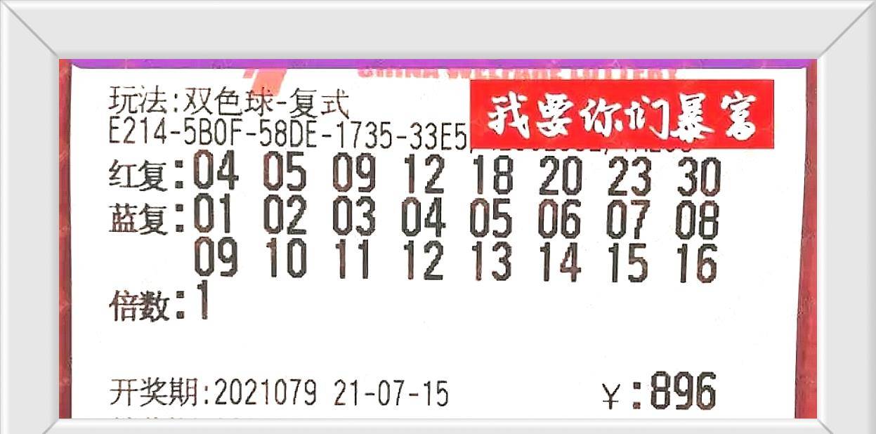 6合开奖，数字游戏中的幸运与智慧6合开奖结果记录