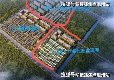 多地结婚人数现近年来首次回升，社会现象背后的多元因素分析结婚人数新低