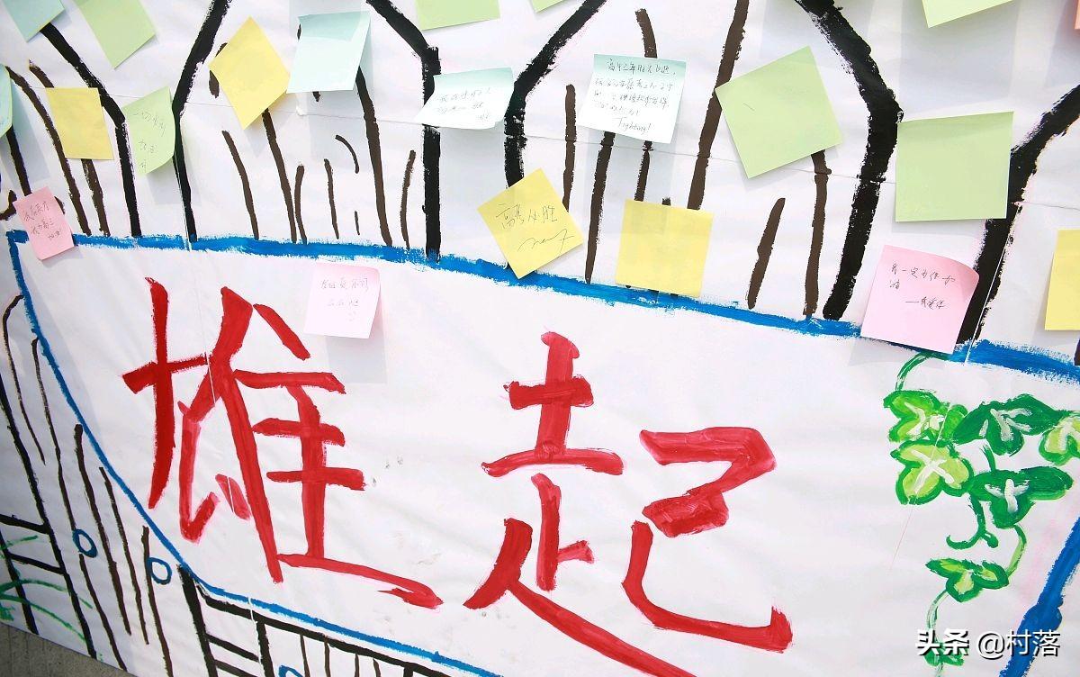 揭秘香港今期开奖结果资料，一网打尽的全面指南2025港六今晚开奖号码