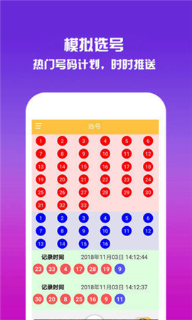 2043年，回顾与展望—香港开奖结果记录的数字轨迹2024年香港开奖结果记录11月7号128期