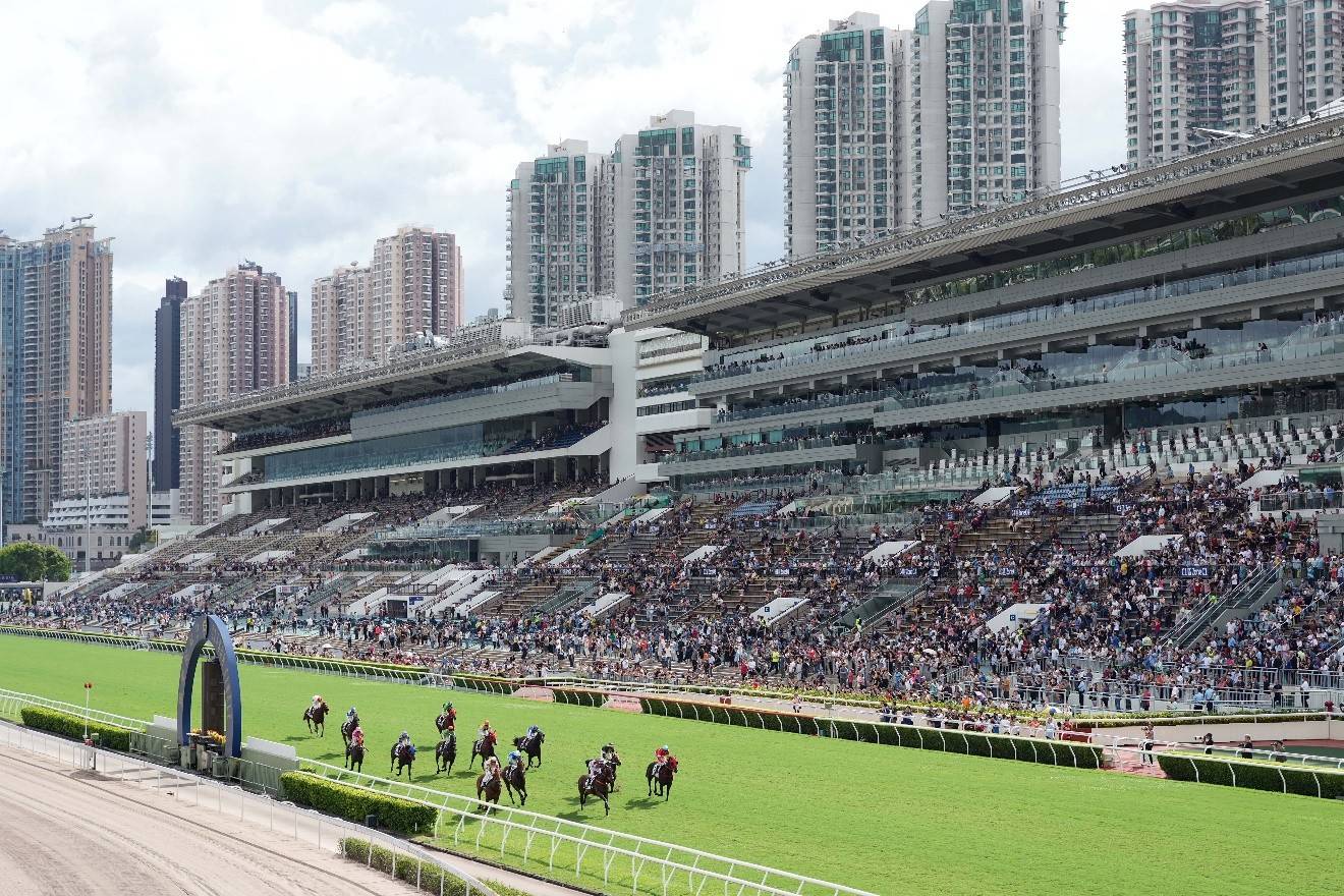 探索香港马会资料，历史、运营与影响马会资料免费长期公开
