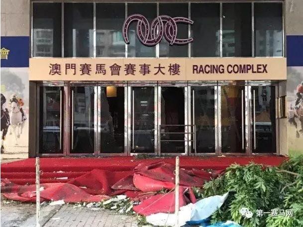 免费马会传真论坛，探索赛马的激情与智慧马会传真论坛免费资料十年