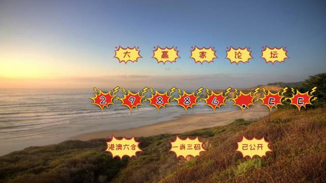 2048年新澳门天天开彩，免费资料与理性购买指南2025年新澳门天天开好彩