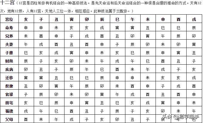 探索命运奥秘，四柱预测图详解四柱预测图片
