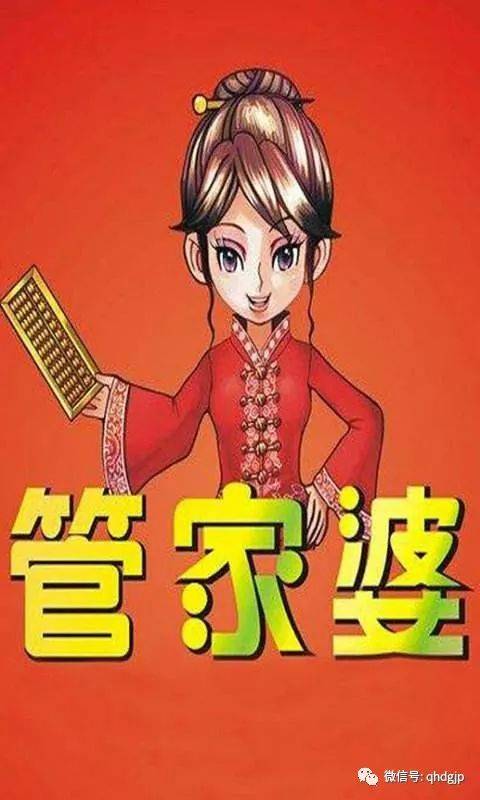管家婆资料精准大全，解锁财富之门的钥匙