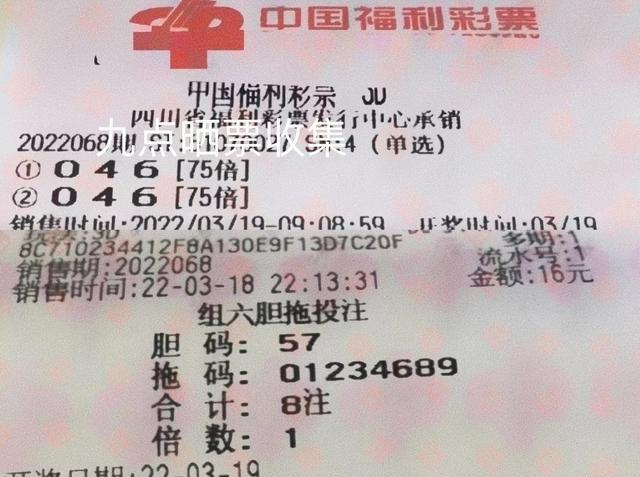 今日3D彩票开奖号码揭秘，数字背后的奥秘与期待今天的开奖3d号码是多少