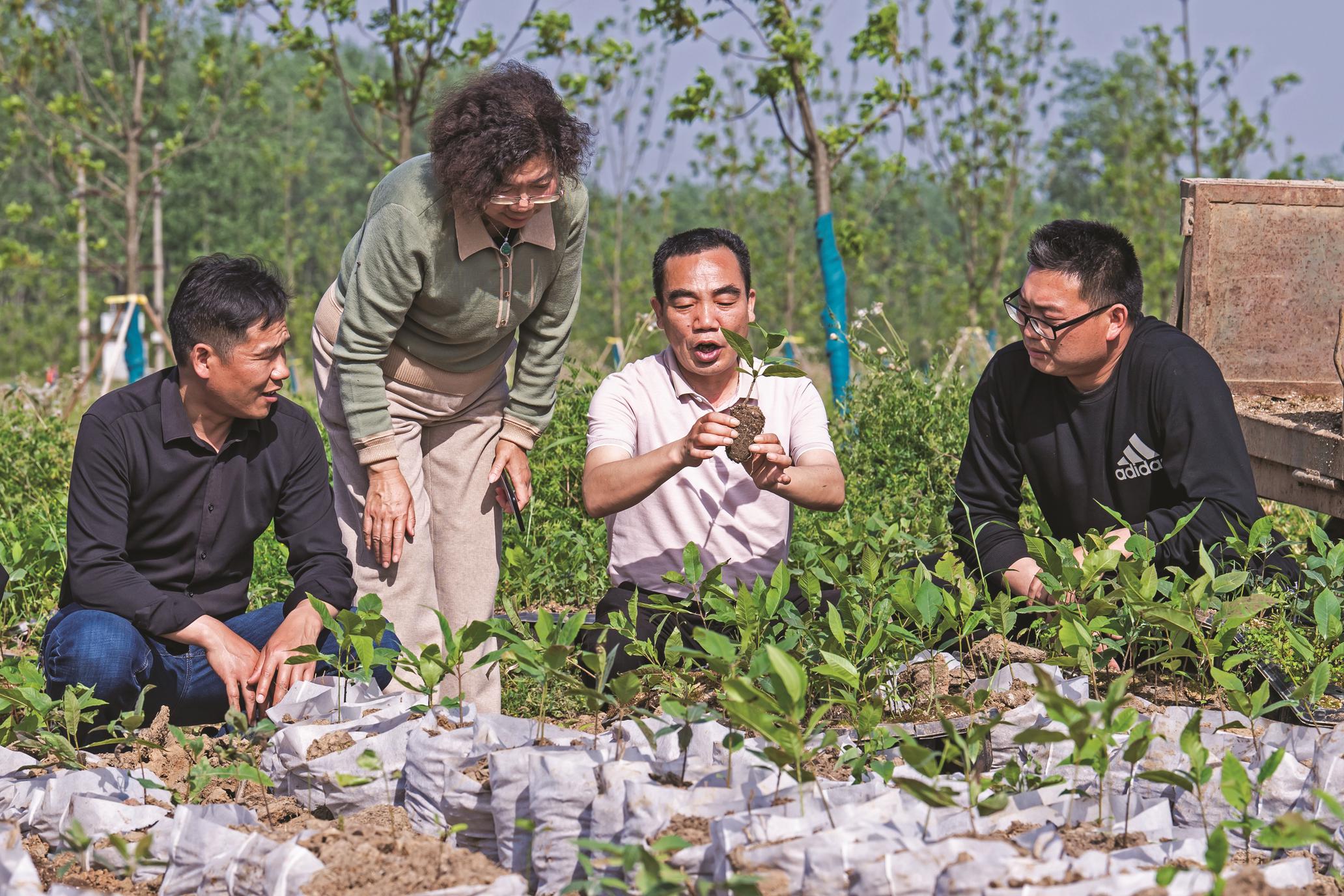 澳门六哥最新直播视频网站下载安装指南澳门六厂