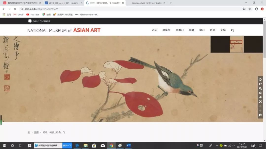 澳门六玄网论坛，真假之谜与图片下载的真相